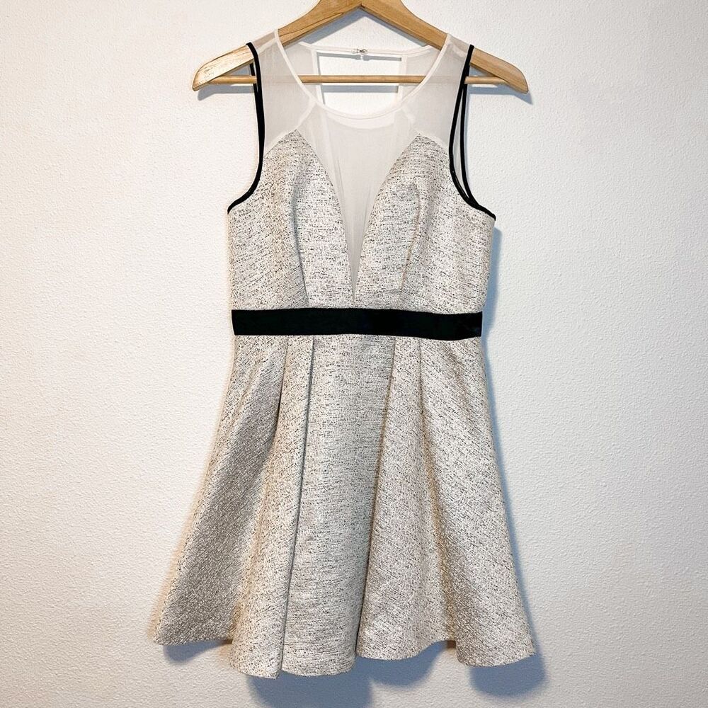 BCBGeneration Aubry Sheer V-Neck Shimmery Fit & Flare Mini Dress Size 8